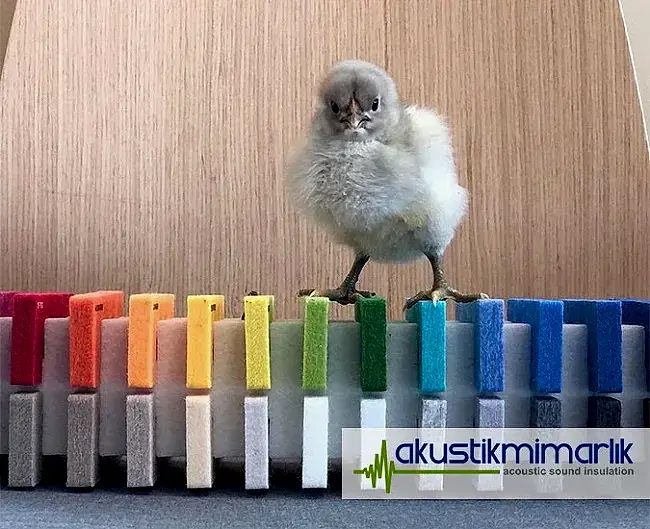 akustik keçe akustik keçe
